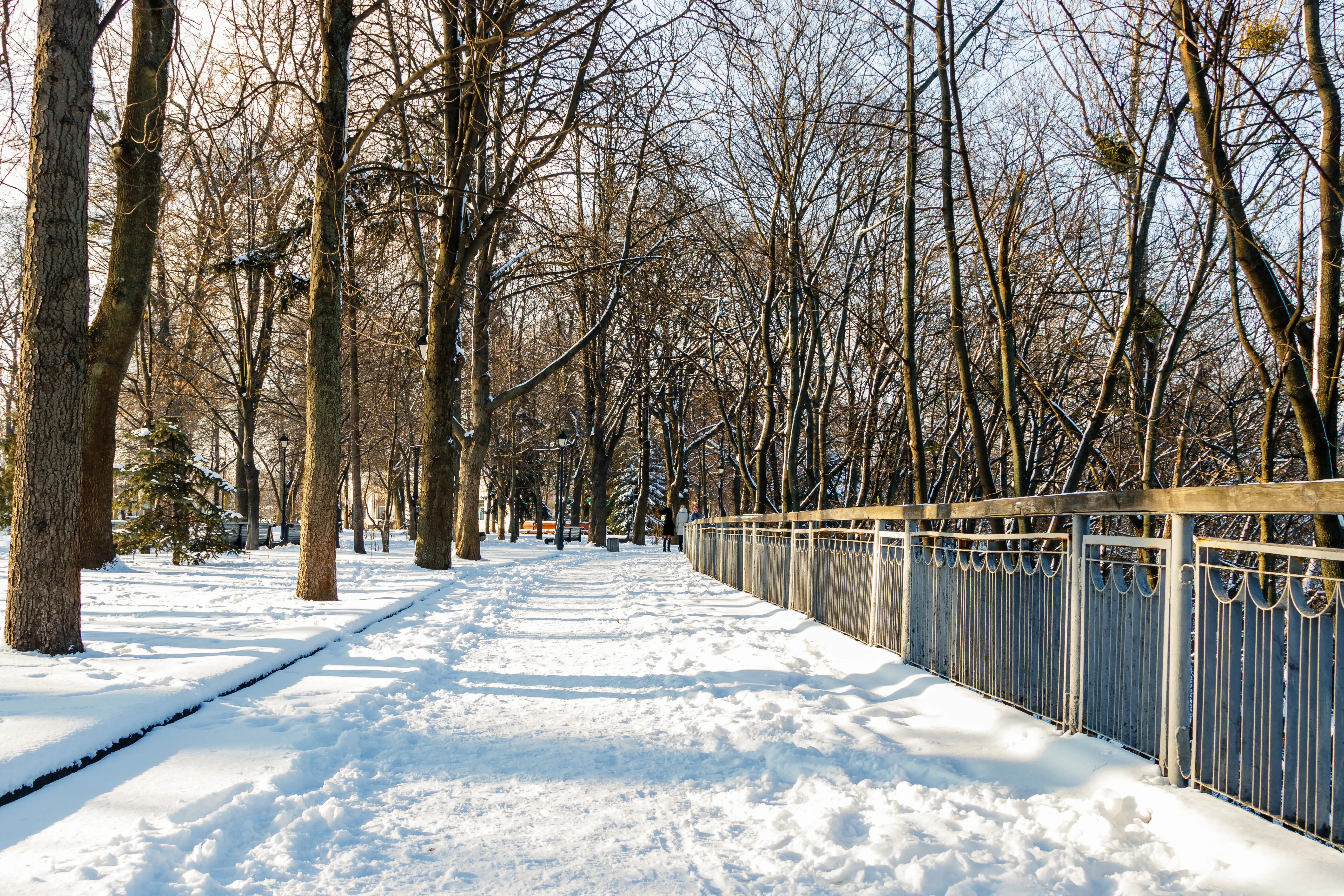 Snow-covered empty benches in a winter park.